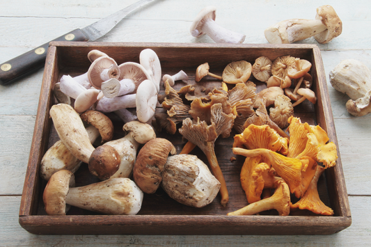 Mushrooms: A Nutrient Powerhouse for Senior Health and Well-Being