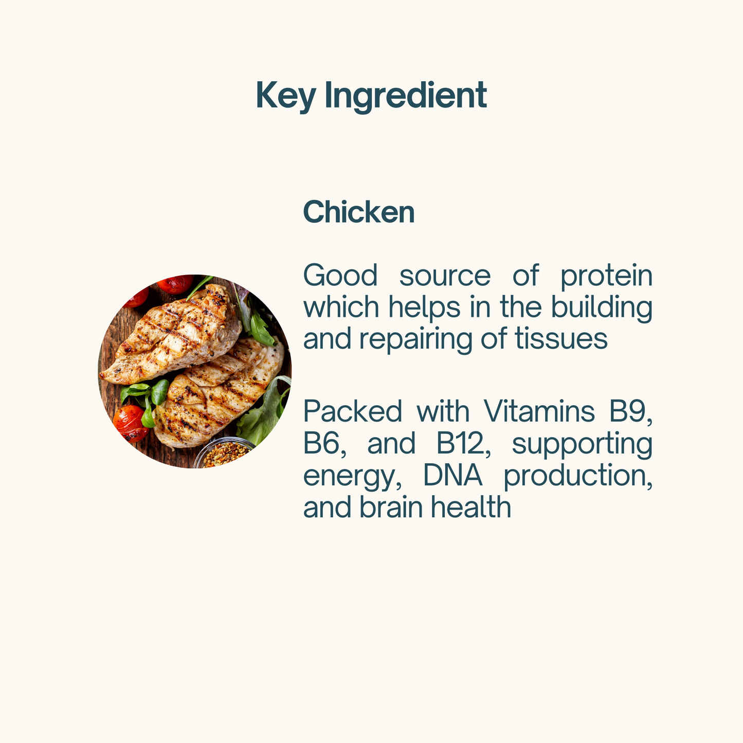 Puréed Chicken 6 Pieces / Pack
