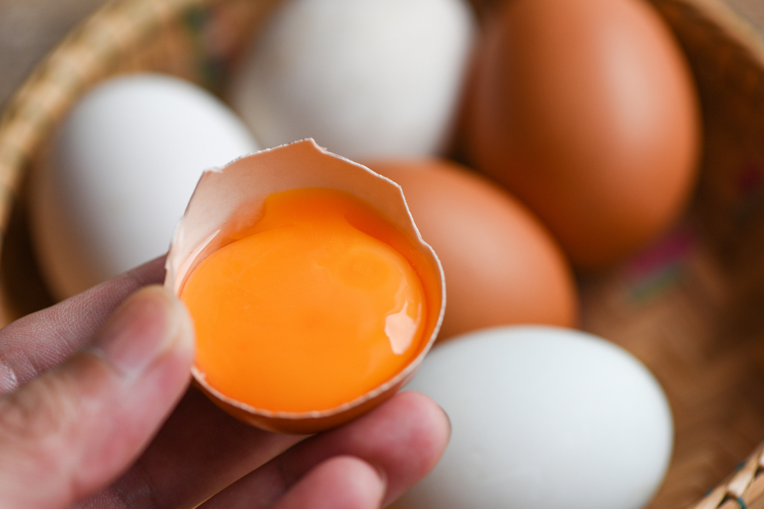 To Yolk or Not to Yolk: The Truth Behind the Golden Debate