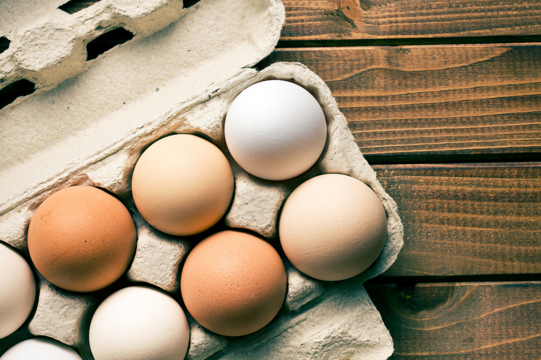 Eggs: A Nutritional Powerhouse for Seniors