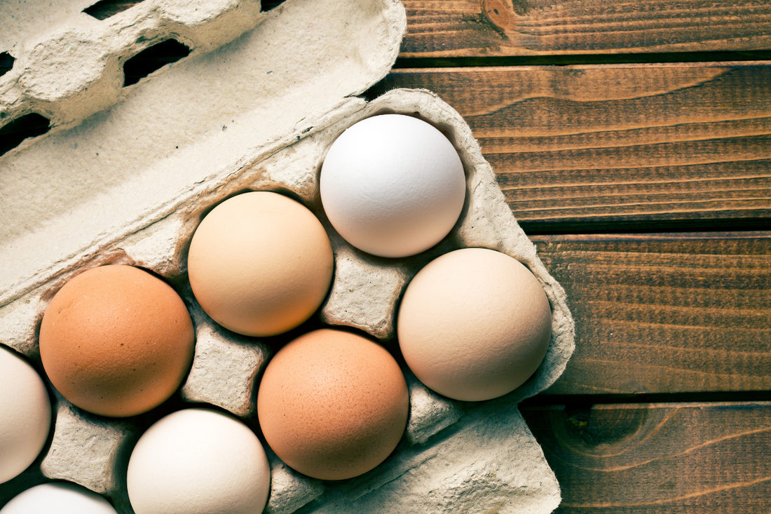 Eggs A Nutritional Powerhouse for Seniors GentleFoods