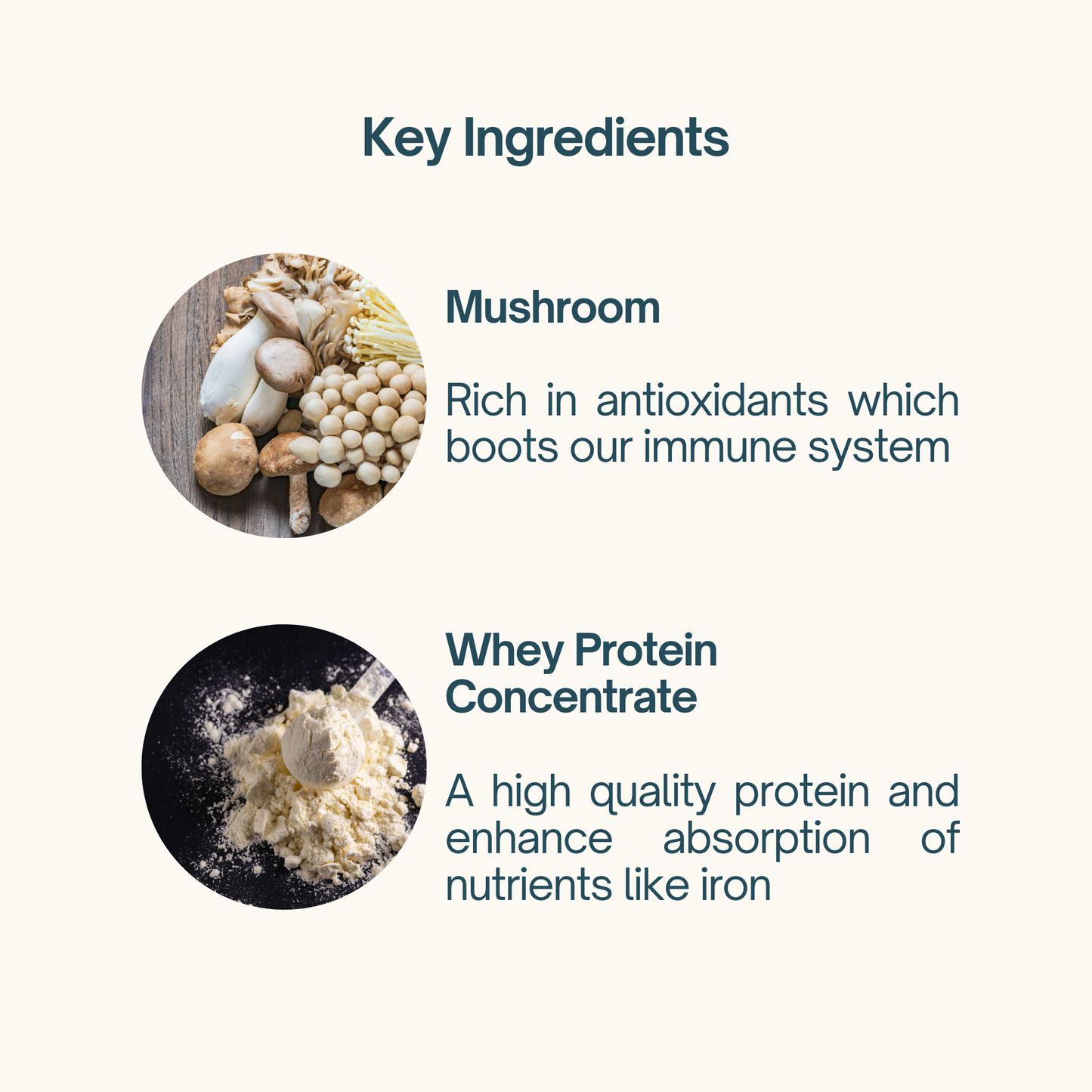 High Protein Mushroom Soup